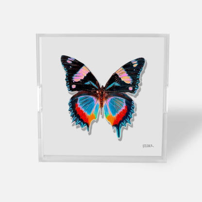 White - Monarch Acrylic Tray