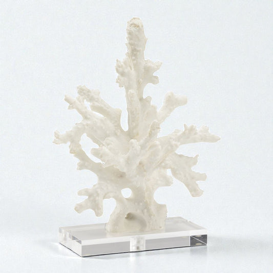 Coral Sculpture