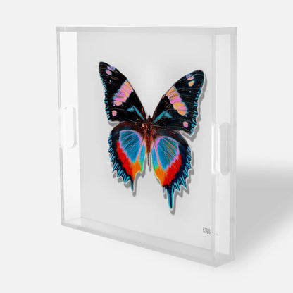 White - Monarch Acrylic Tray