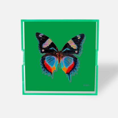 Green - Monarch Acrylic Tray