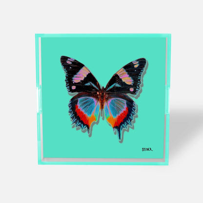 Aqua - Monarch Acrylic Tray