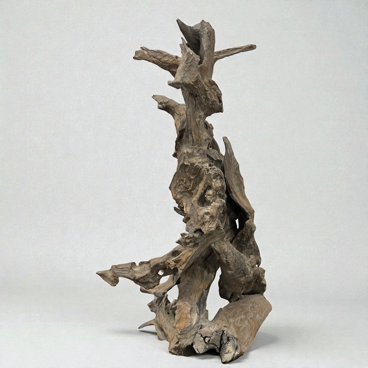Driftwood Sculpture